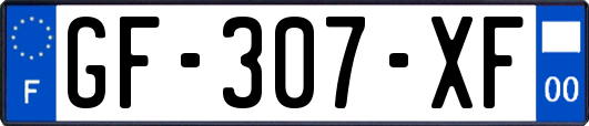 GF-307-XF