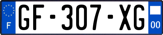 GF-307-XG