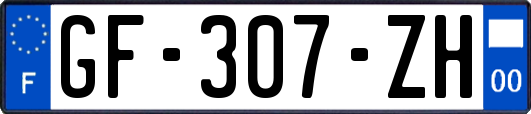 GF-307-ZH