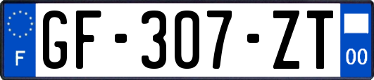 GF-307-ZT