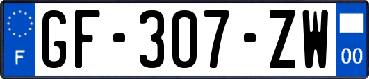 GF-307-ZW