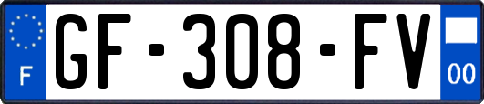 GF-308-FV
