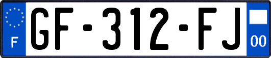 GF-312-FJ