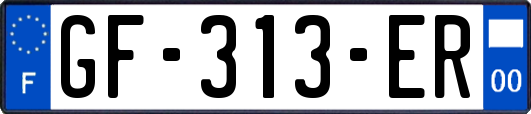 GF-313-ER