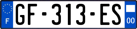 GF-313-ES