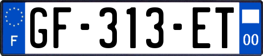 GF-313-ET