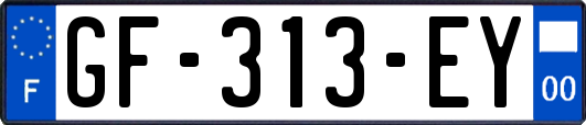 GF-313-EY