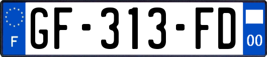 GF-313-FD