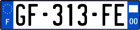 GF-313-FE