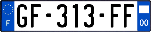 GF-313-FF