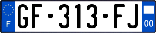 GF-313-FJ