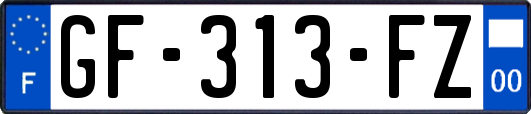 GF-313-FZ
