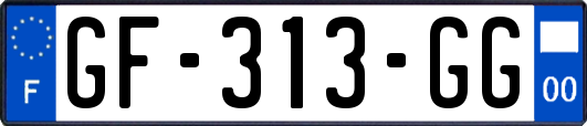 GF-313-GG