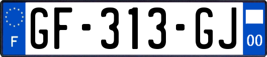 GF-313-GJ