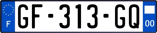 GF-313-GQ