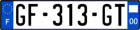 GF-313-GT