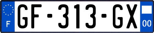 GF-313-GX