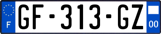 GF-313-GZ