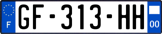 GF-313-HH