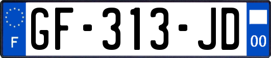 GF-313-JD
