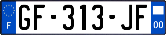 GF-313-JF