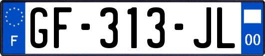 GF-313-JL