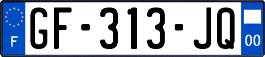 GF-313-JQ