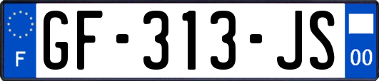 GF-313-JS