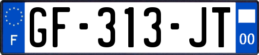 GF-313-JT