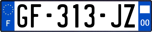 GF-313-JZ
