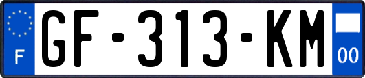 GF-313-KM