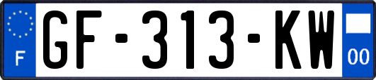 GF-313-KW