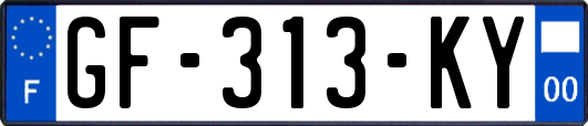 GF-313-KY