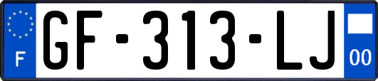 GF-313-LJ
