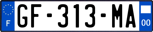 GF-313-MA