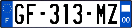 GF-313-MZ