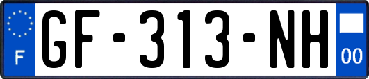 GF-313-NH