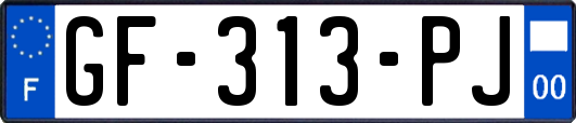 GF-313-PJ