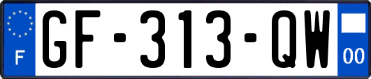 GF-313-QW