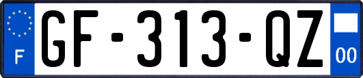 GF-313-QZ