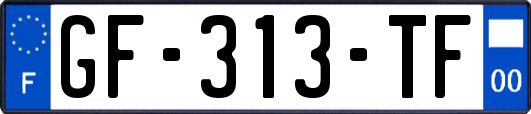 GF-313-TF