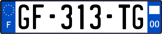 GF-313-TG
