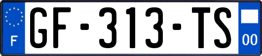 GF-313-TS