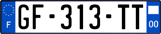 GF-313-TT