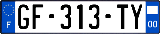 GF-313-TY