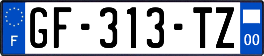 GF-313-TZ