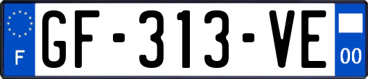 GF-313-VE