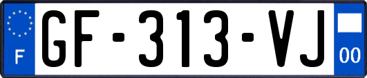 GF-313-VJ