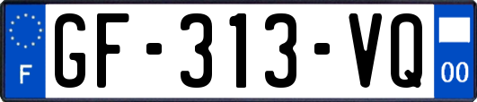 GF-313-VQ
