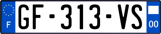 GF-313-VS